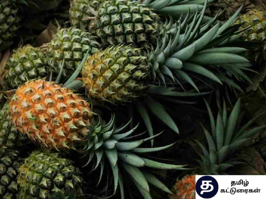 Pineapple Benefits In Tamil