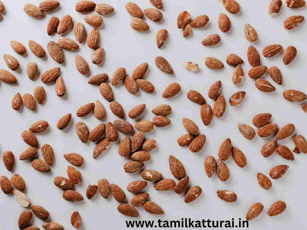 Protein Rich Food In Tamil