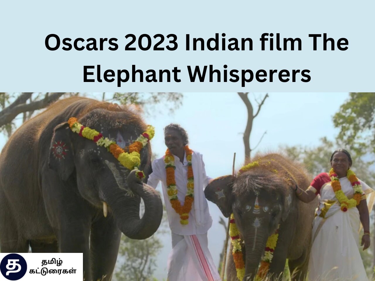 Oscars 2023 Indian film The Elephant Whisperers