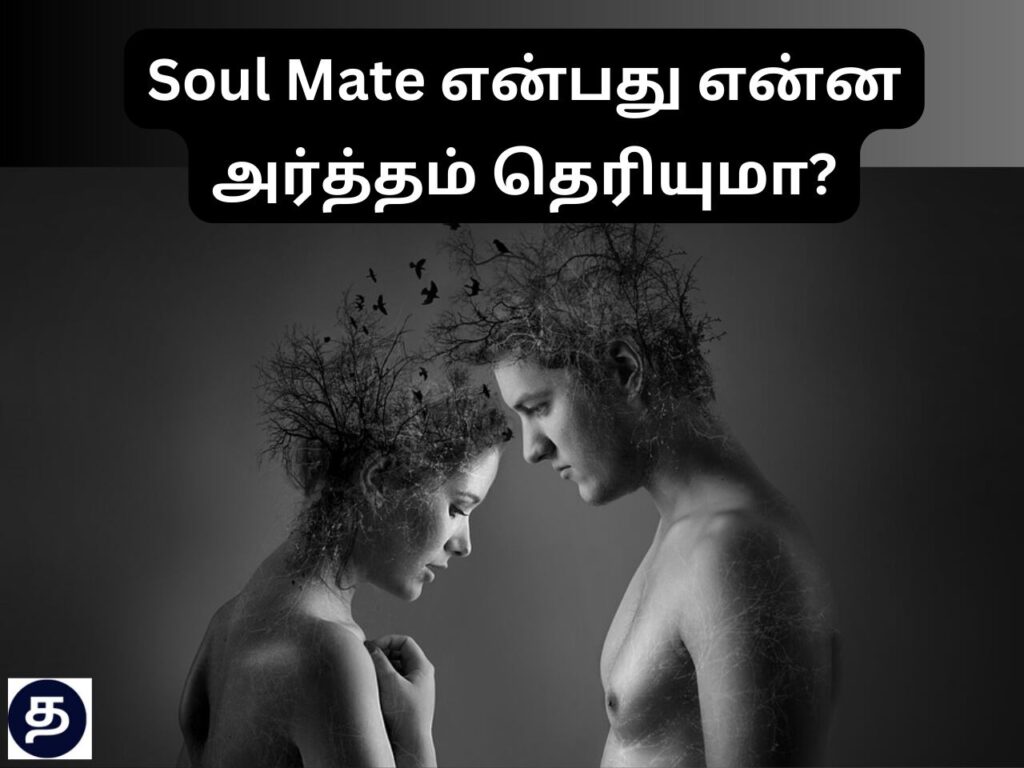 Soulmate 2024 Ending Explained In Tamil Erma Beatrice