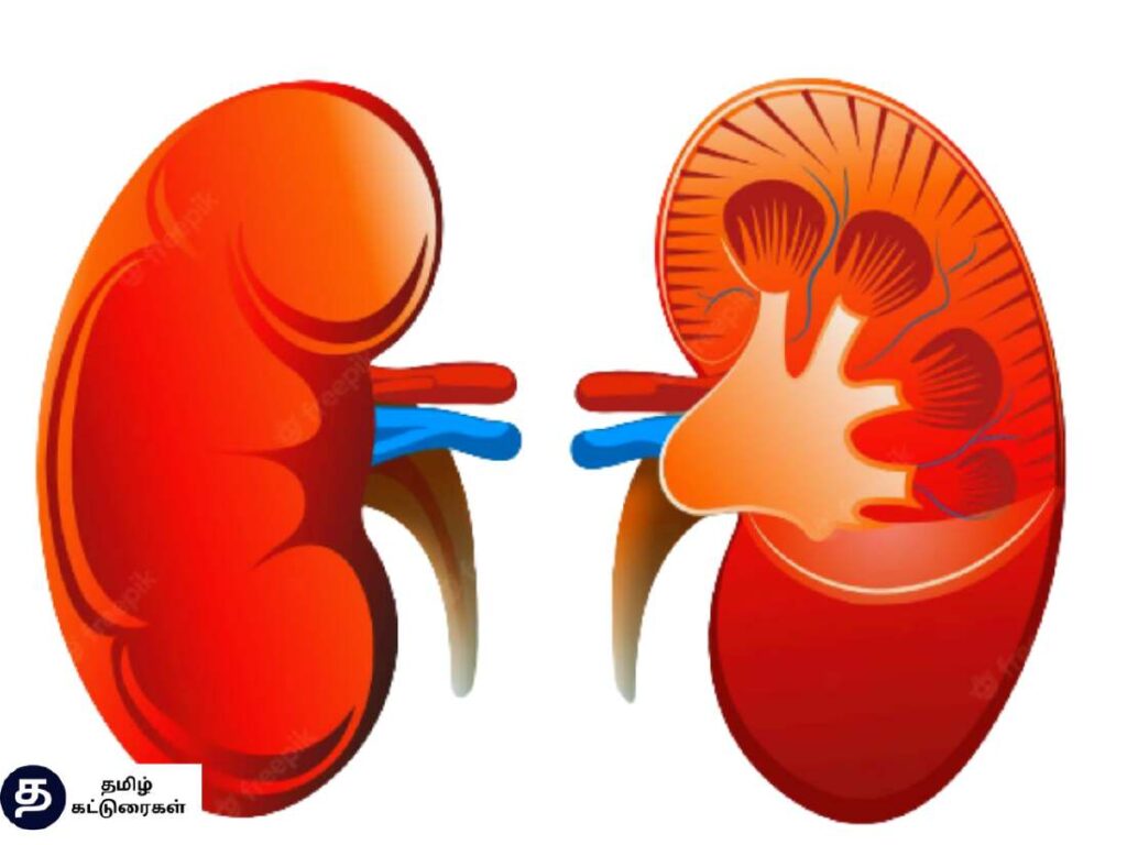 World Kidney Day