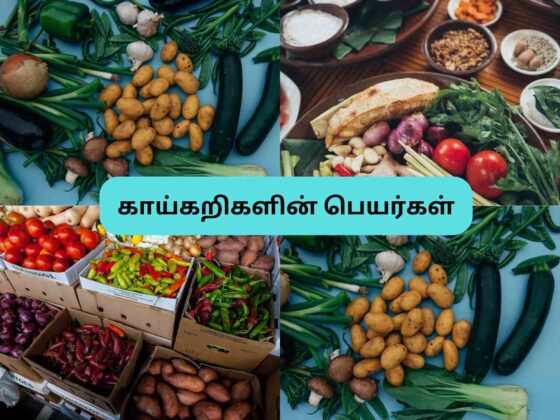 காய்கறிகளின் பெயர்கள் | Vegetables Names in Tamil and English
