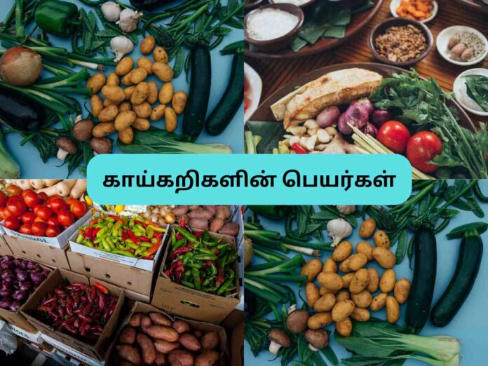 காய்கறிகளின் பெயர்கள் Vegetables Names in Tamil and English