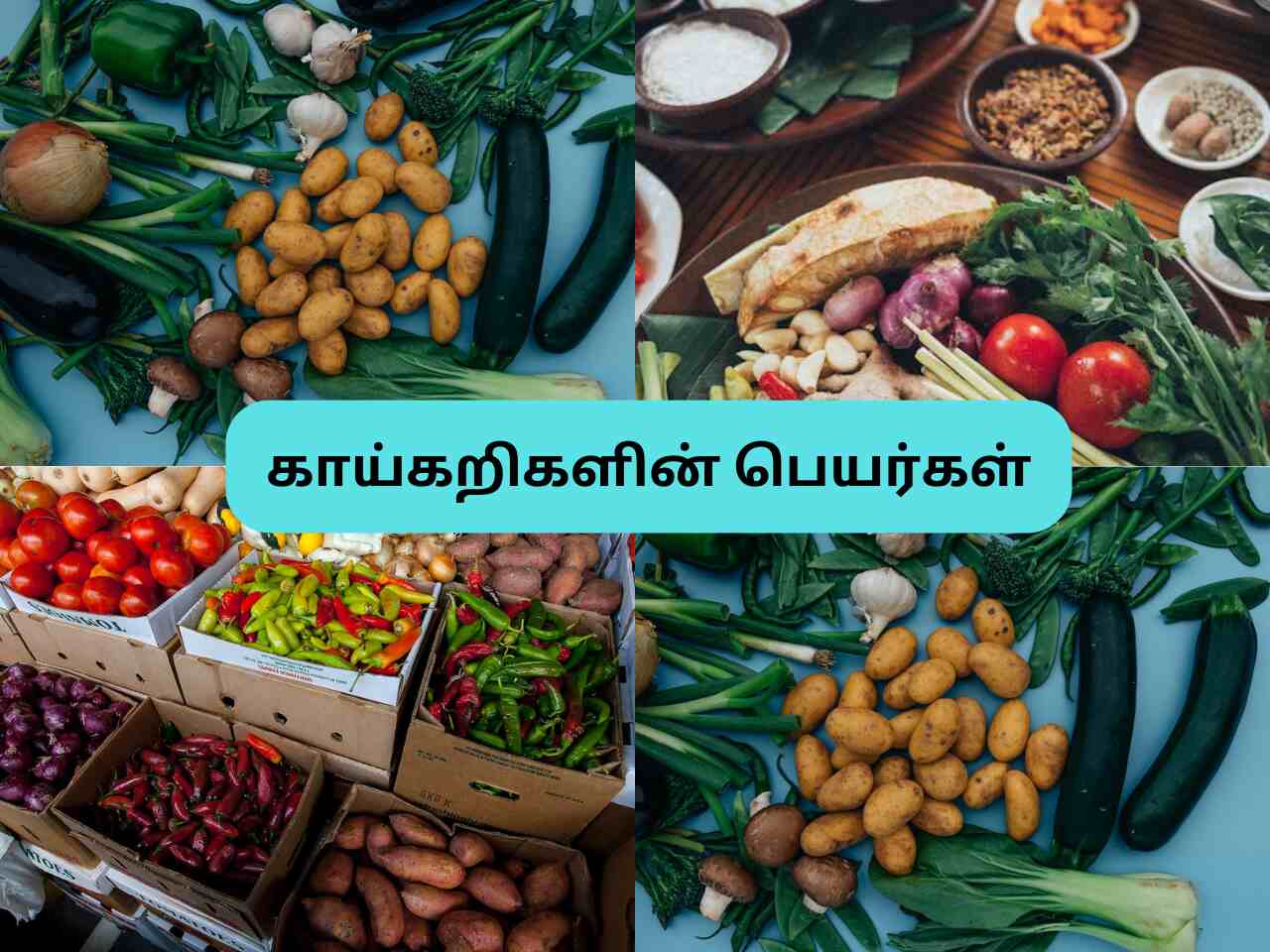  Vegetables Names In Tamil And English