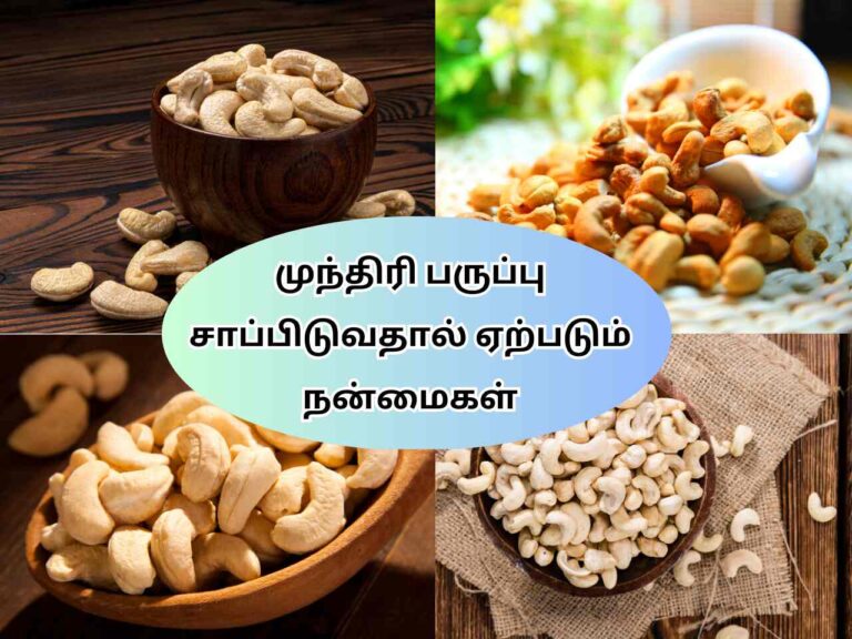 முந்திரி பருப்பு சாப்பிடுவதால் ஏற்படும் நன்மைகள் Cashew Nuts Health