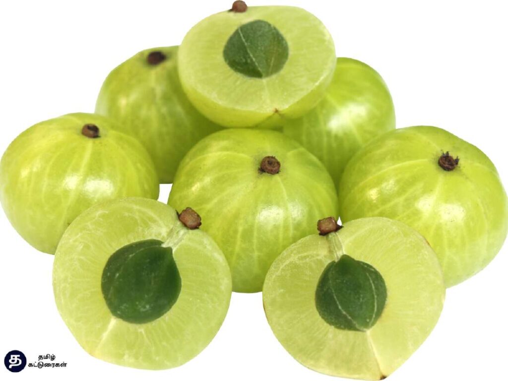 Amla Benefits In Tamil