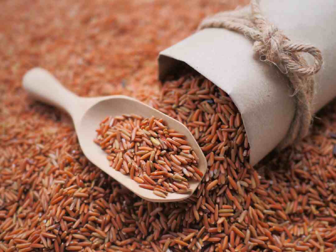 உடலுக்கு நன்மை தரும் பழுப்பு அரிசி | Brown Rice In Tamil