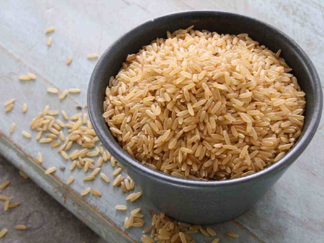 Tamil Sample Rice உடலுக்கு நன்மை தரும் பழுப்பு அரிசி | Brown Rice In Tamil