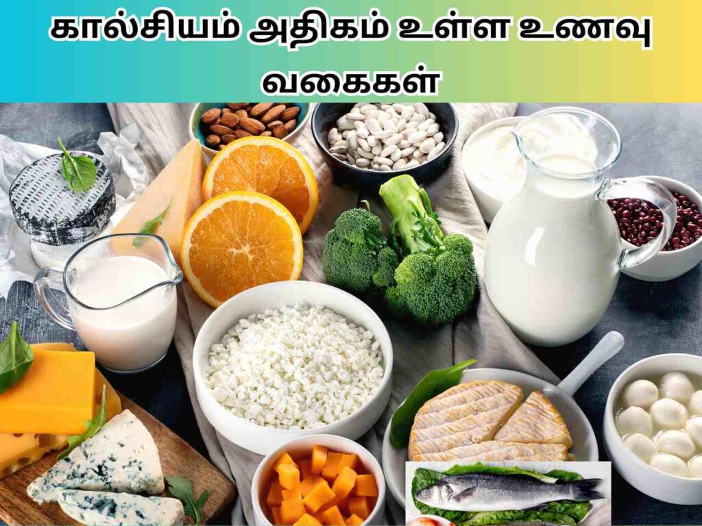 கால்சியம் அதிகம் உள்ள உணவு வகைகள் Calcium Rich Foods In Tamil