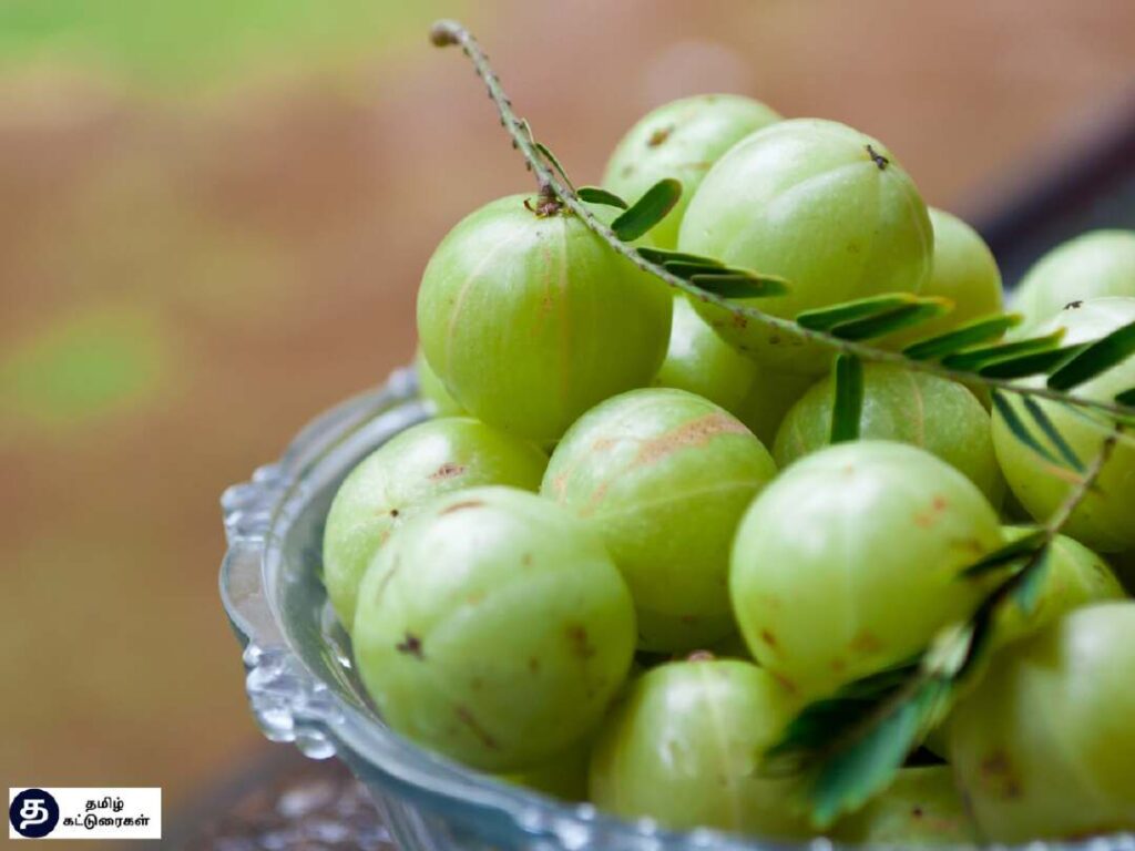 Amla Benefits In Tamil