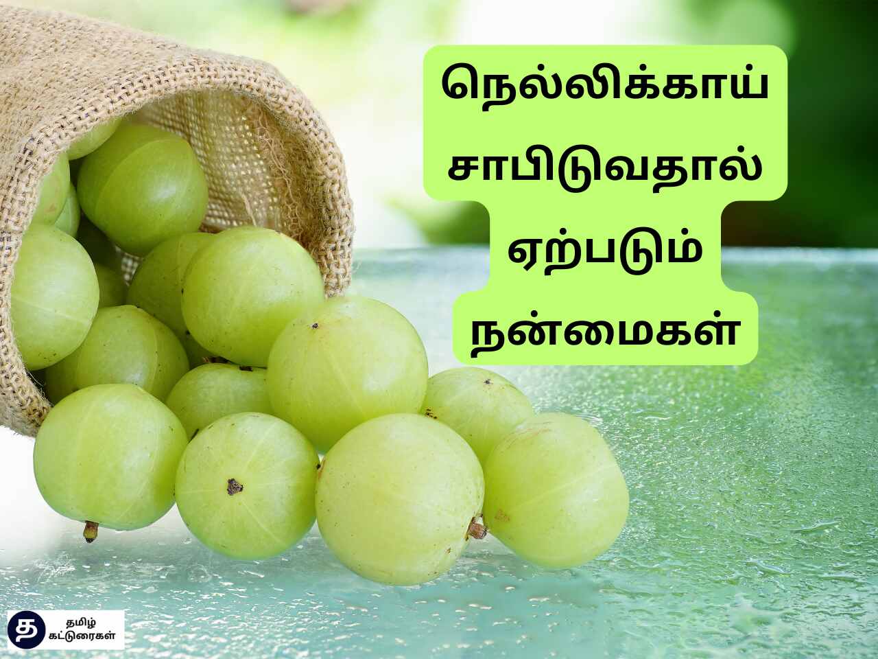 Nellikai Benefits in Tamil