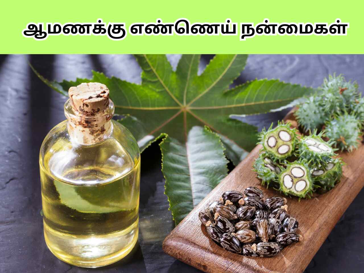 Castor Oil Health Benefits In Tamil