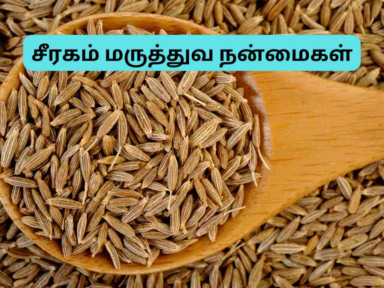 Cumin Seeds In Tamil