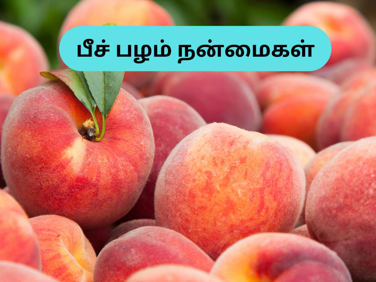 Peach Fruit Benefits In Tamil