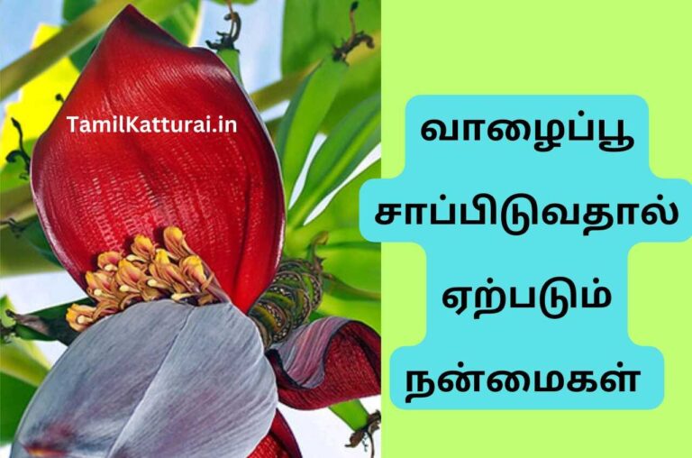 வாழைப்பூ மருத்துவ பயன்கள் Valaipoo Benefits In Tamil
