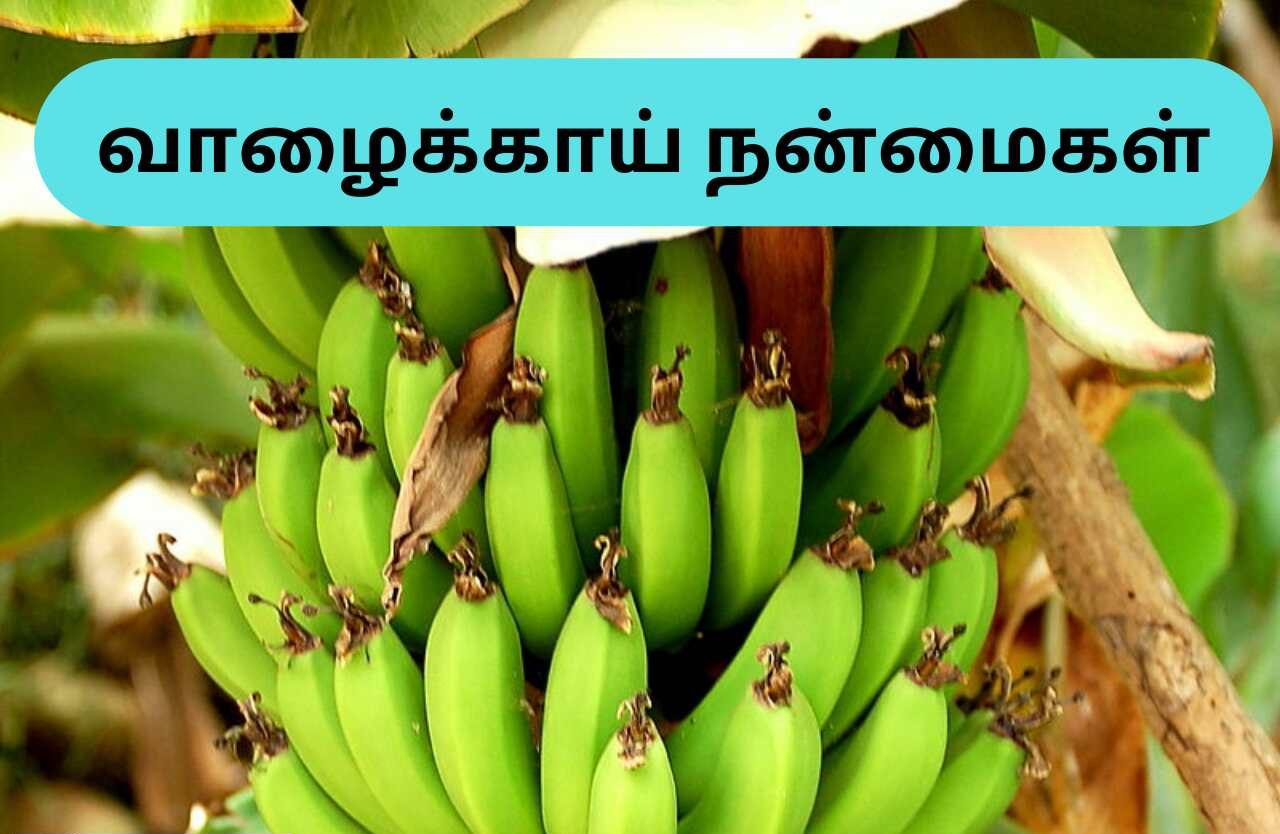 Valakkai Benefits In Tamil