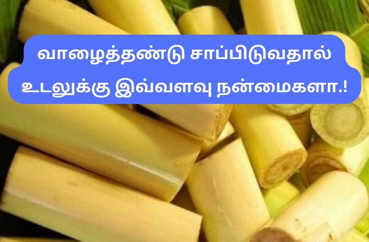 வாழை தண்டின் பயன்கள்