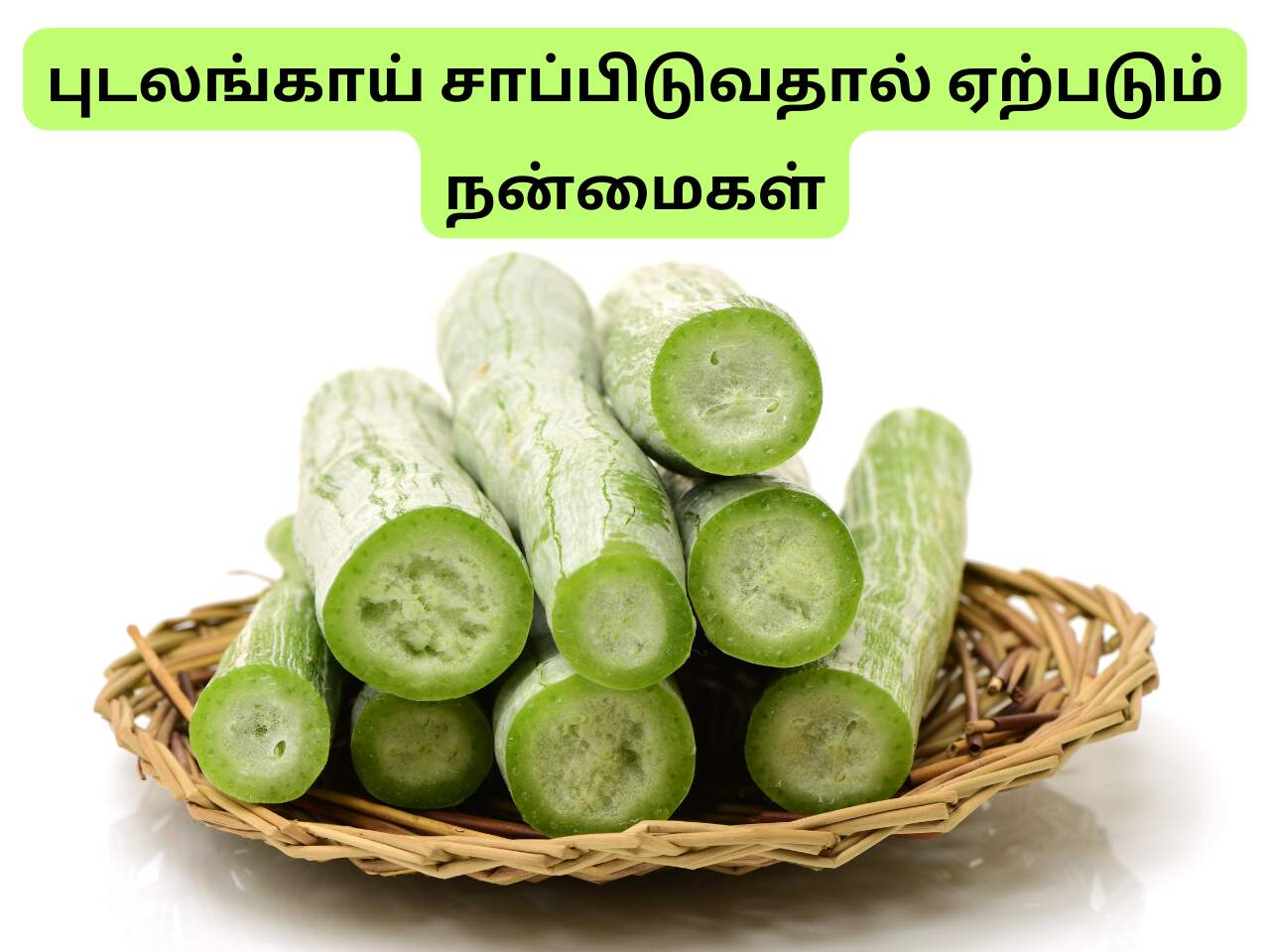 Pudalankaai health benefits in tamil