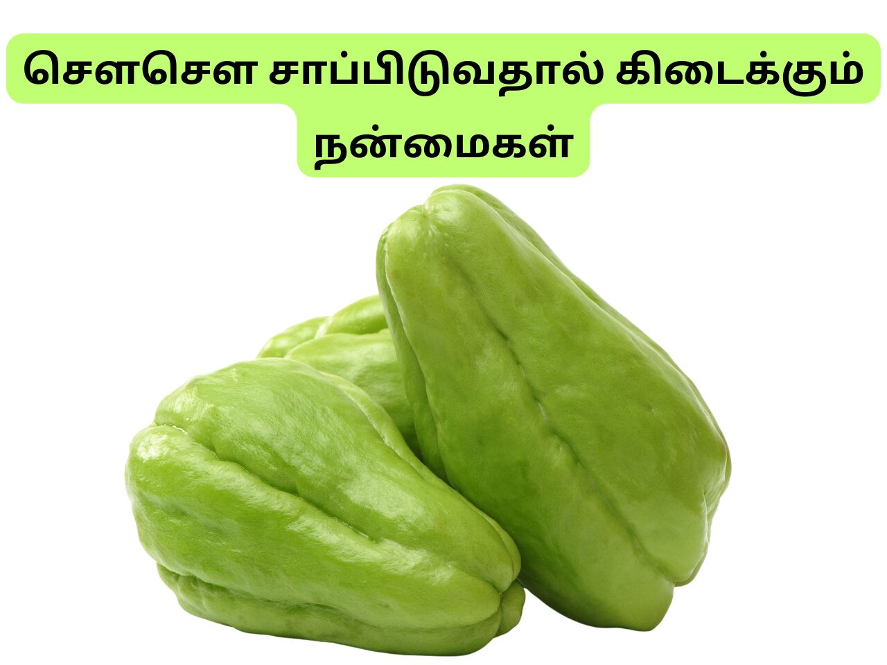 Chow Chow health benefits in tamil