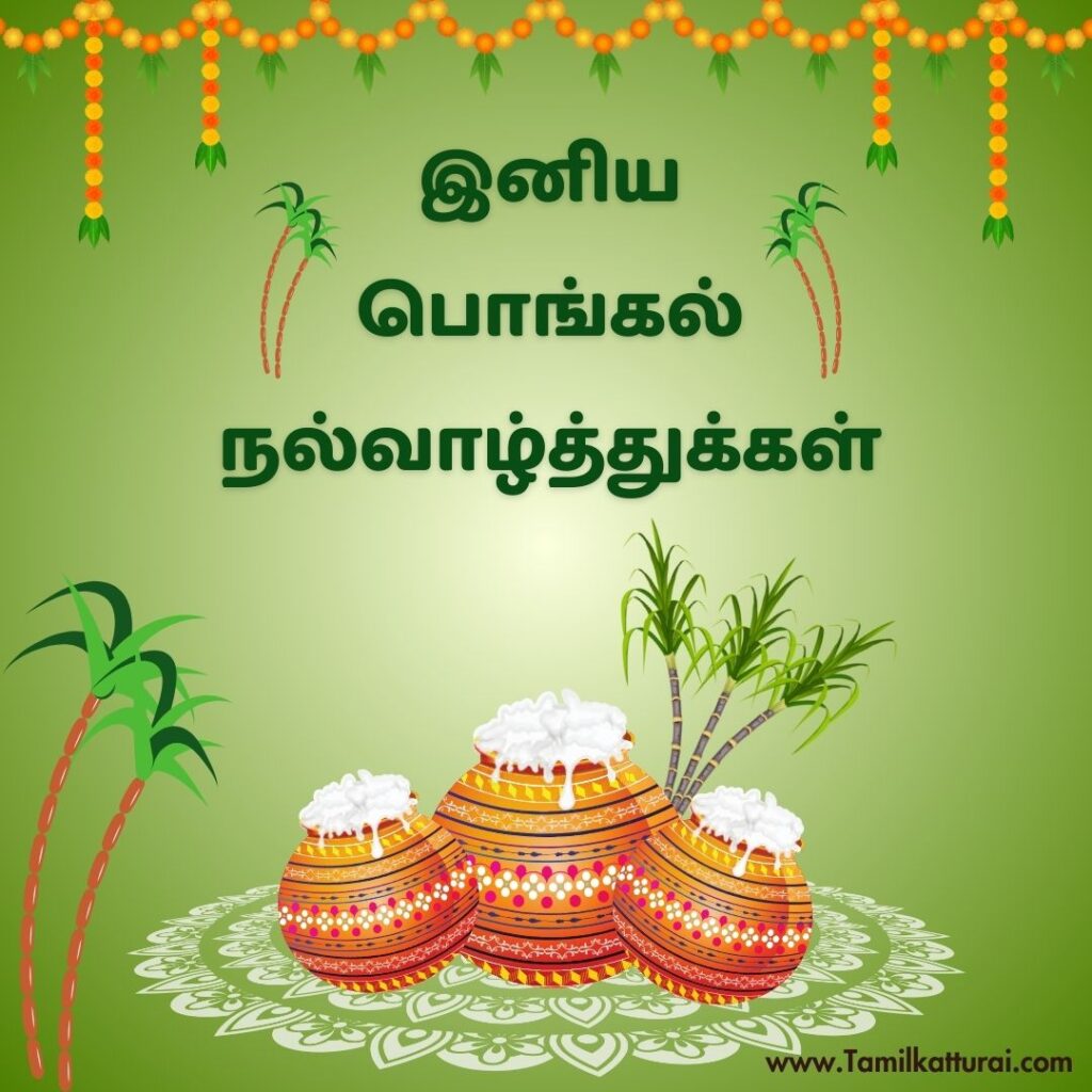 Pongal quotes in Tamil and Pongal wishes in Tamil to celebrate the harvest festival.