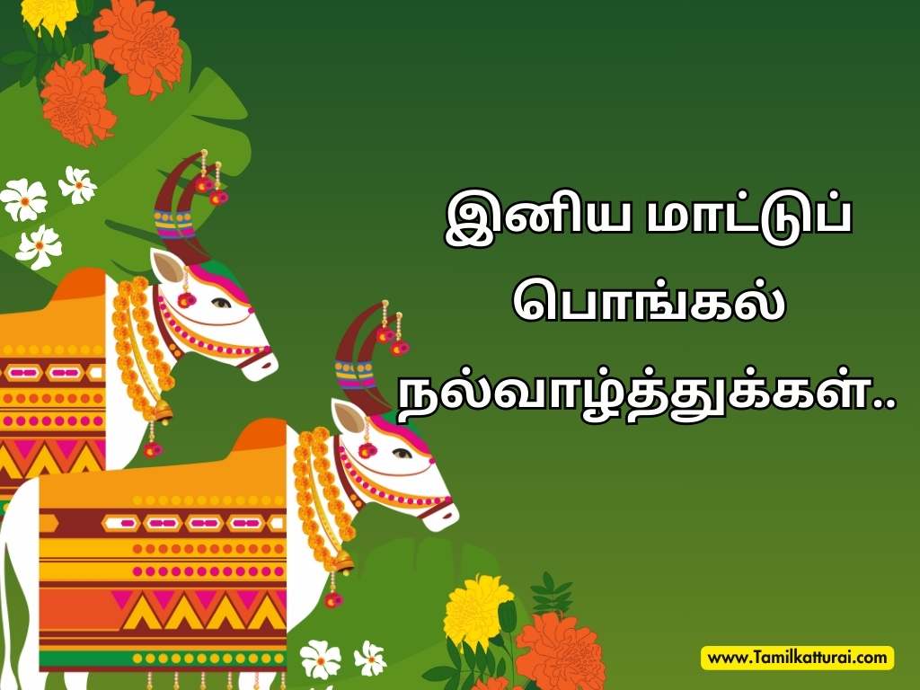 Mattu Pongal wishes in Tamil and Mattu Pongal quotes in Tamil to celebrate the festival of cattle and harvest.